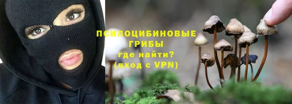спайс Баксан